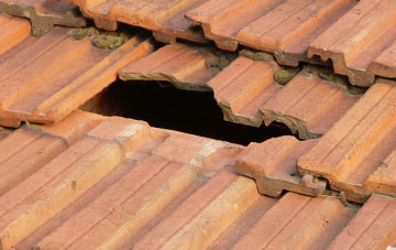 roof repair Eckington